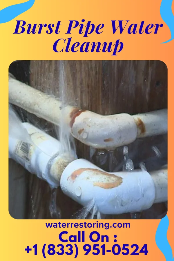 Burst Pipe Water Cleanup in Morea, PA