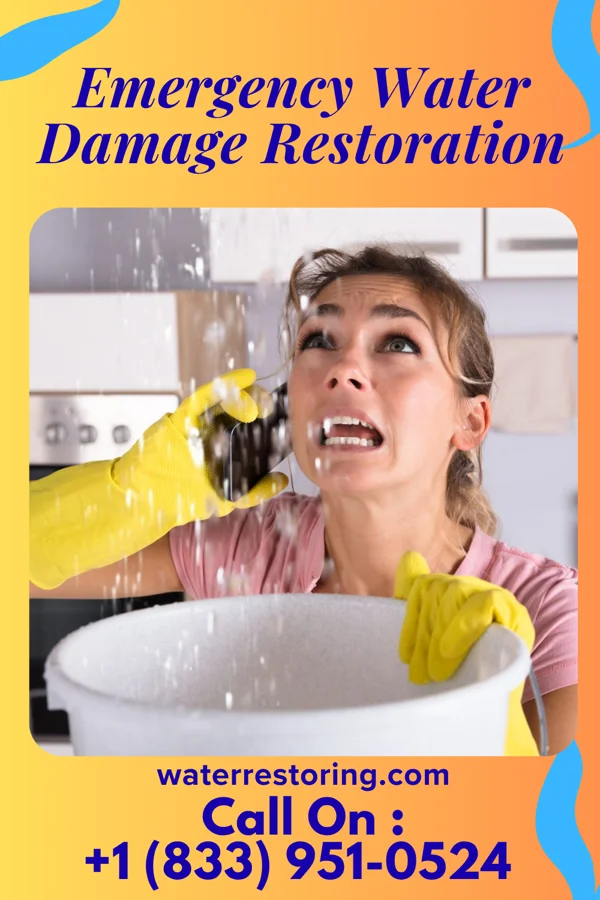 Emergency Water Damage Restoration in Morea, PA