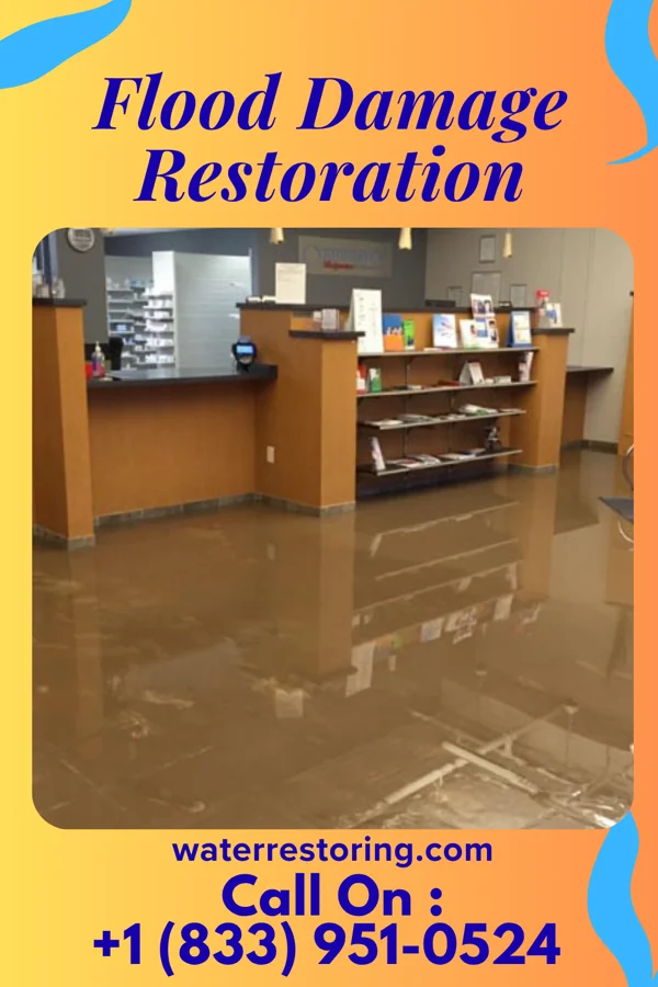 Flood Damage Restoration in Morea, PA