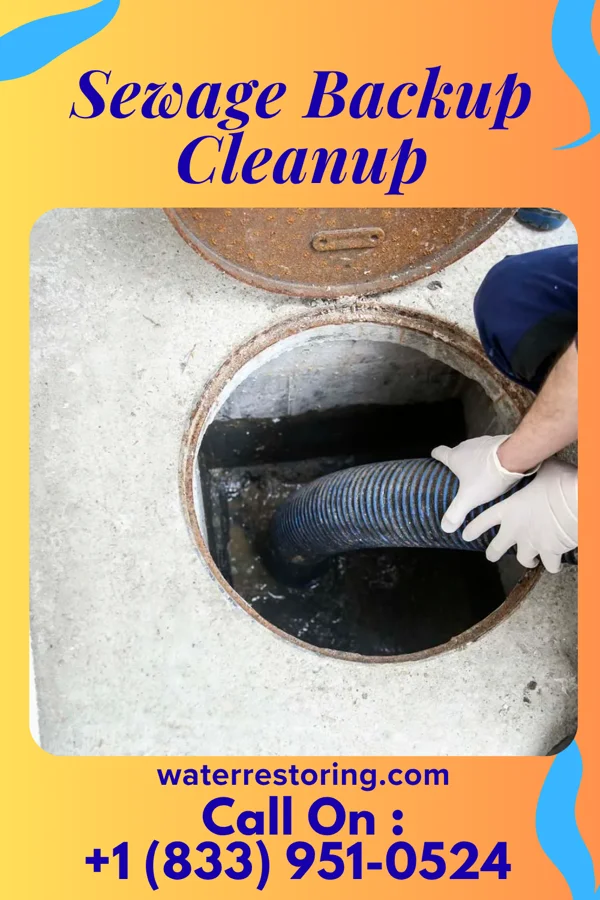 Sewage Backup Cleanup in Morea, PA