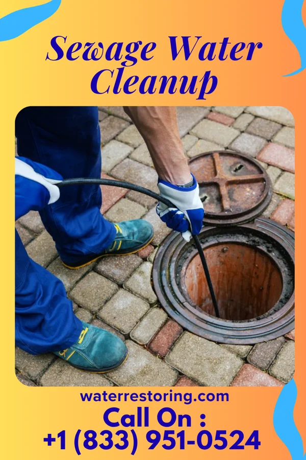 Sewage Water Cleanup in Morea, PA