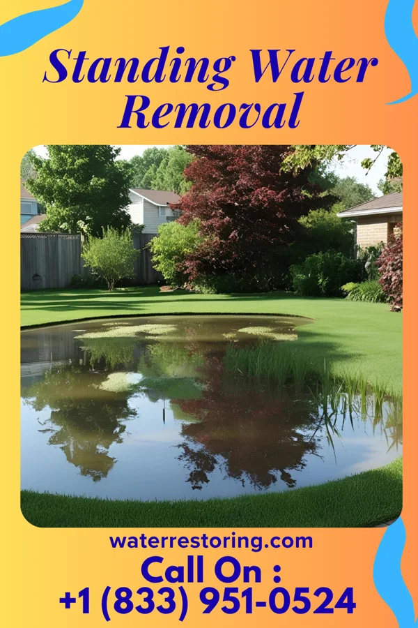 Standing Water Removal in Morea, PA